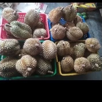 

Buah durian monthong lokal Nusantara manis &legit -+3,5 kg