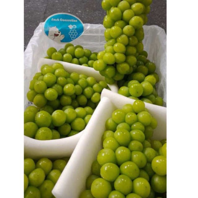 

anggur shine muscat 500gr