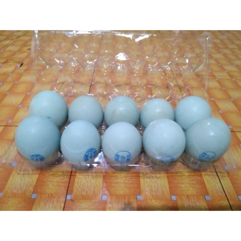 

TELUR ASIN ORIGINAL fresh enak & gurih ISI 10 BUTIR ukuran besar FREE BUBBLE WRAP