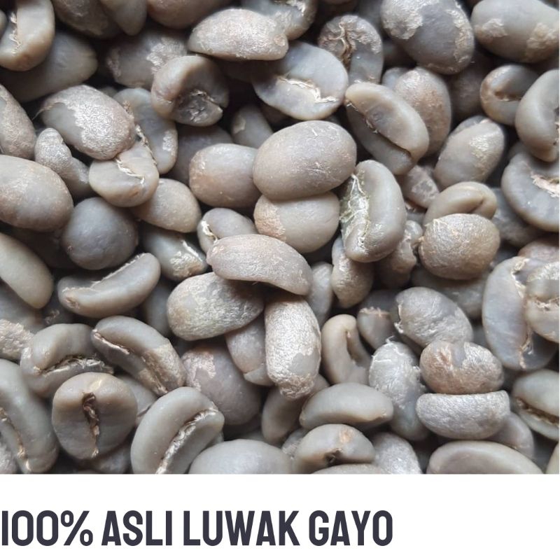 

Green bean kopi Luwak Gayo, wild luwak Gayo,1kg