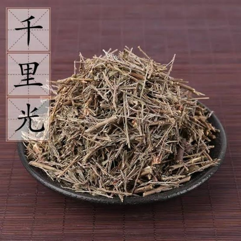 

100gr herbal qian li guang 千里光 senecio scandens