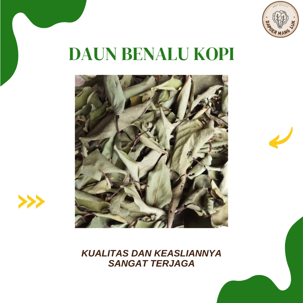 

DRIED SERBUK DAUN BENALU KOPI BEST SELLER