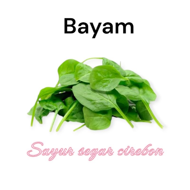 

Bayam / Sayur Segar Cirebon