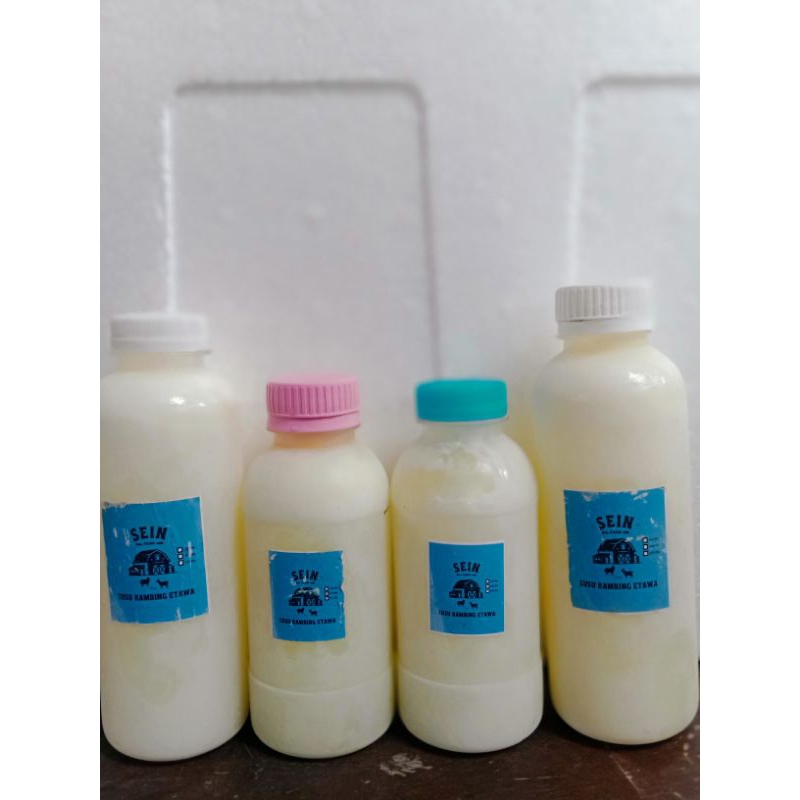 

susu kambing etawa