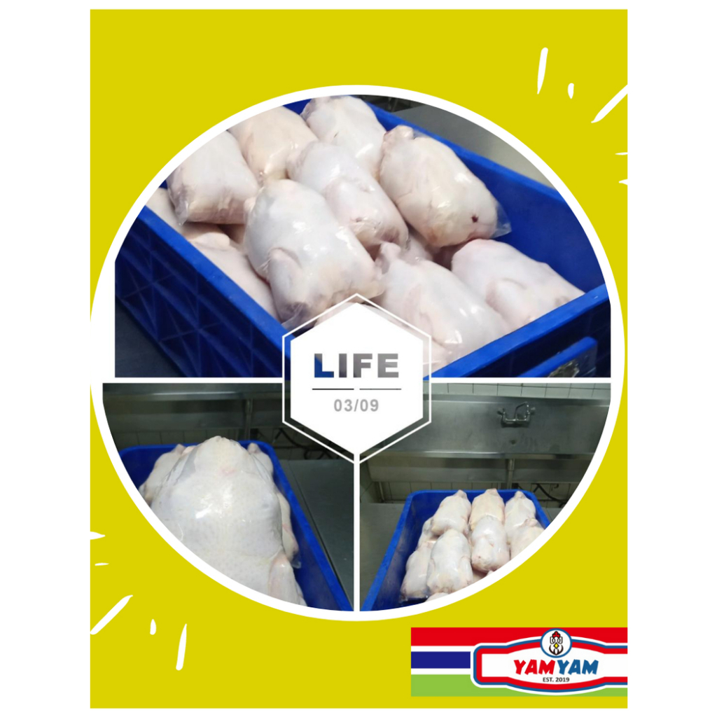 

Cedea Cidea Odeng 480gr Frozen Food Makanan Korea Beku Murah Depok Froozen Halal