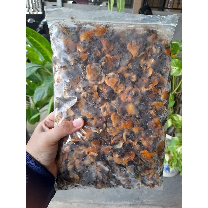 

Kerang Dara Kupas