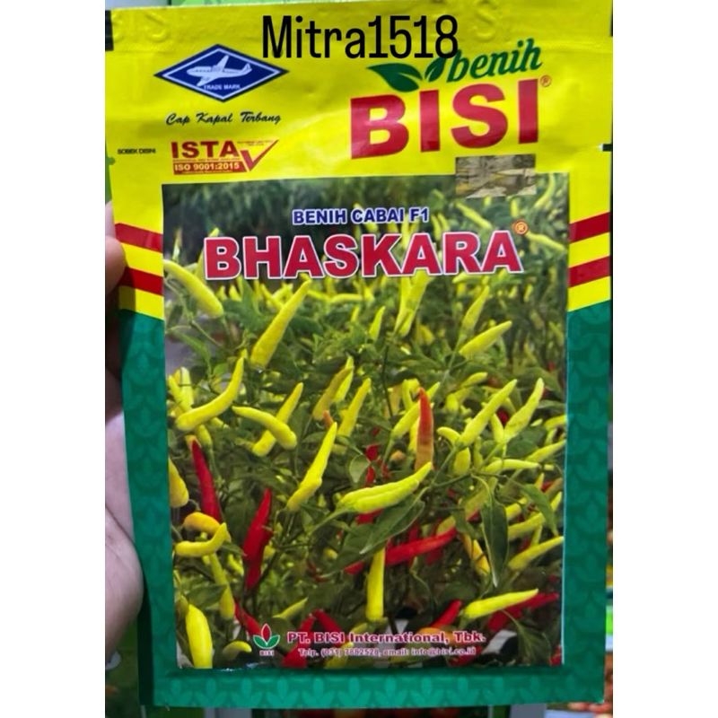Benih cabe rawit putih hibrida BHASKARA F1 10 gram cabai baskara f1 10gr dari bisi chia tai