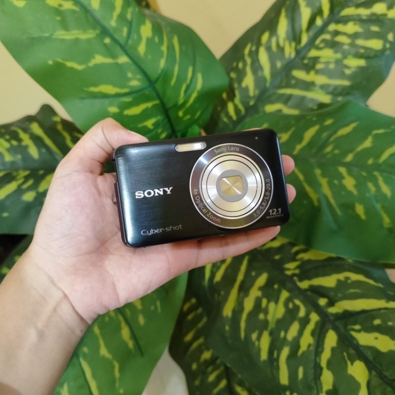digicam sony w310