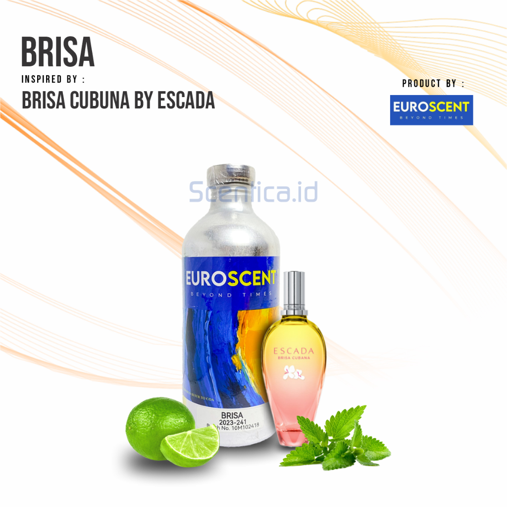 BRISA MD BIBIT PARFUM BY EURO SCENT KEMASAN SEGEL