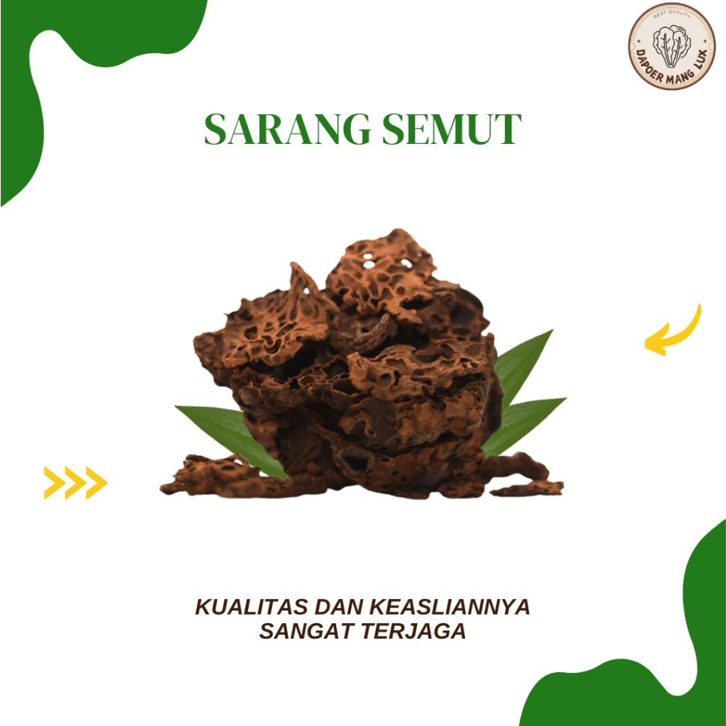 

DRIED SERBUK SARANG SEMUT BEST SELLER