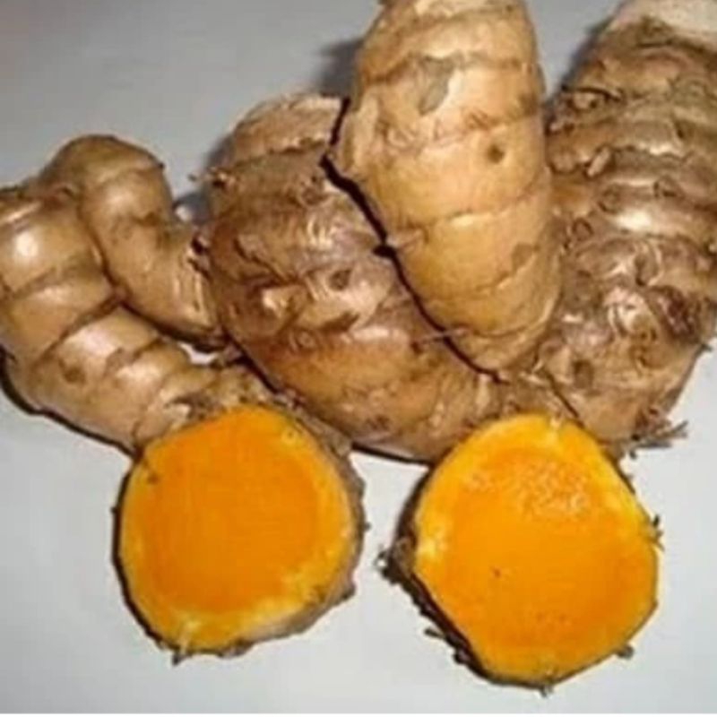 

Temulawak basah segar