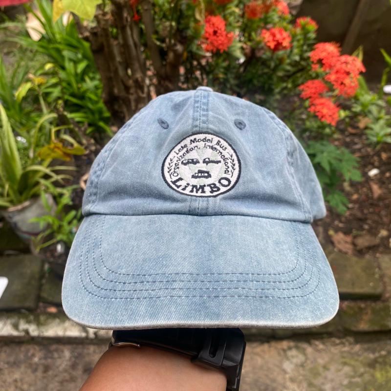 Anvil vintage limbo snapback