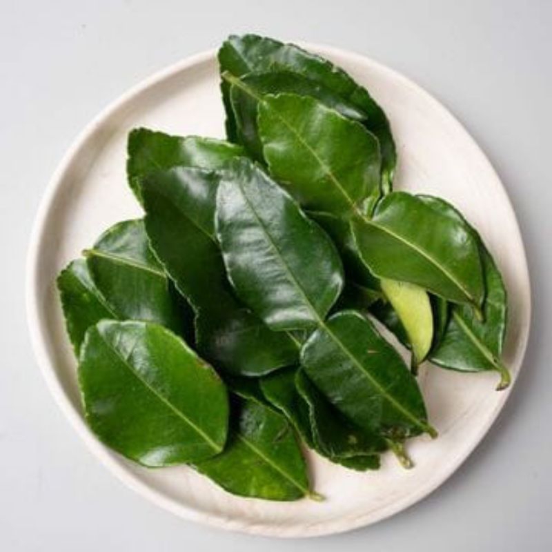 

Daun Jeruk