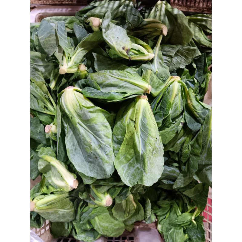 

daun keciwis segar 250gr