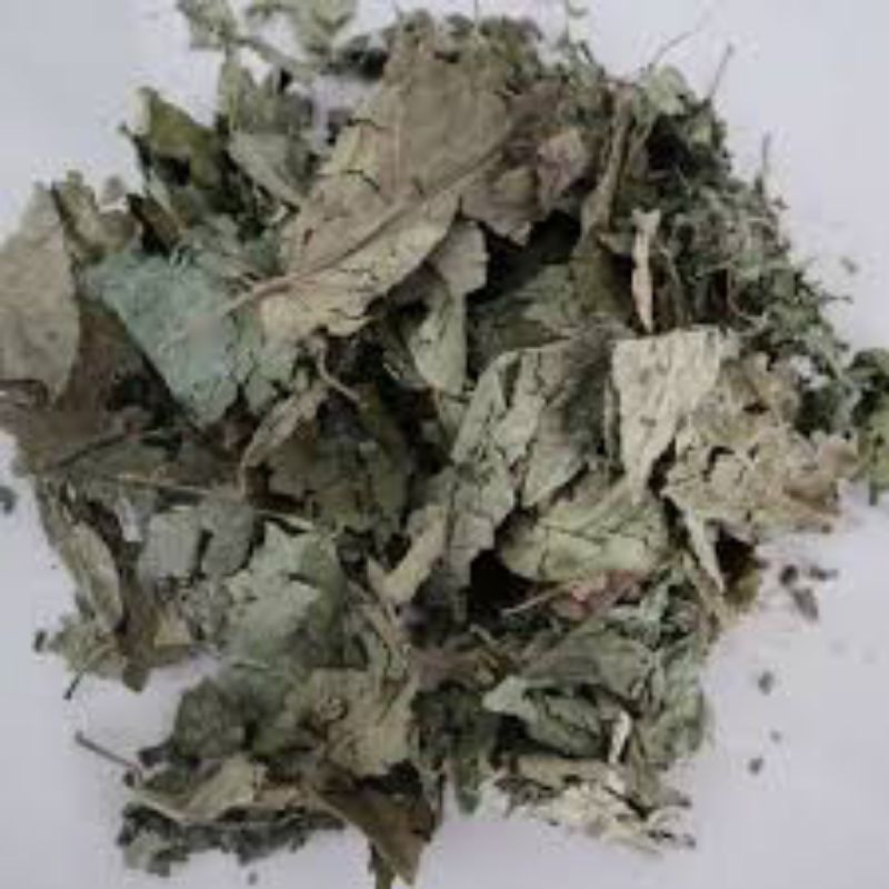 

Daun Jati Belanda Kering Kemasan isi 250 Gram Jati londo