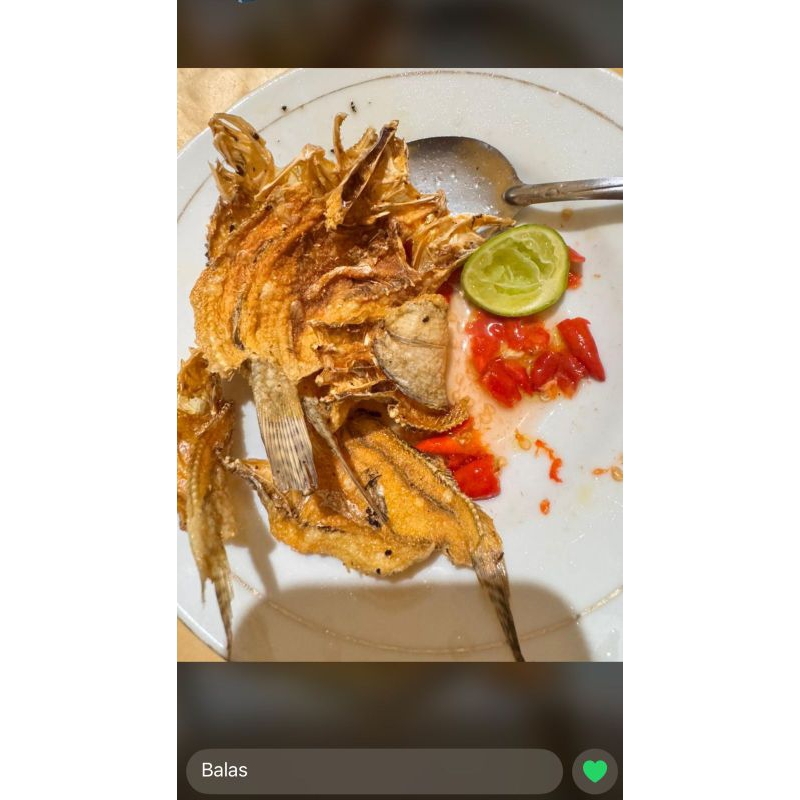 

Ikan kering kertas Teriqu
