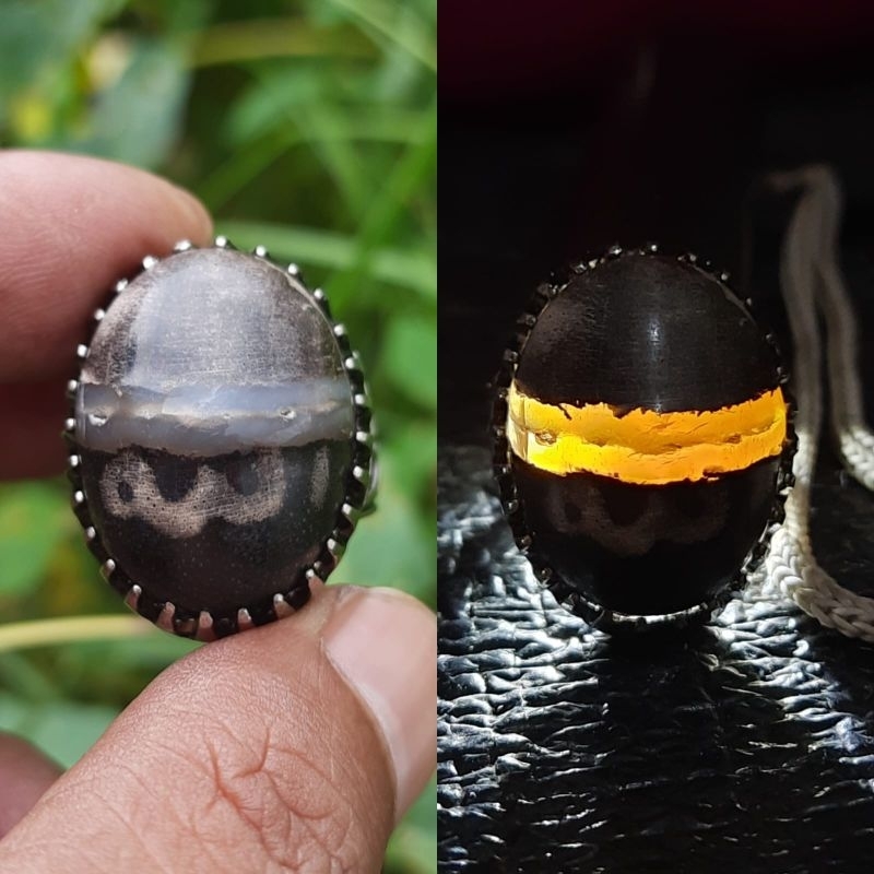 Batu akik fosil kelor kendit nego via inbok
