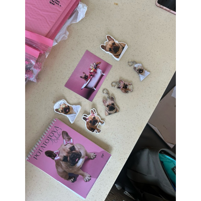 

Sticker Toya | Sticker Anjing French Bulldog