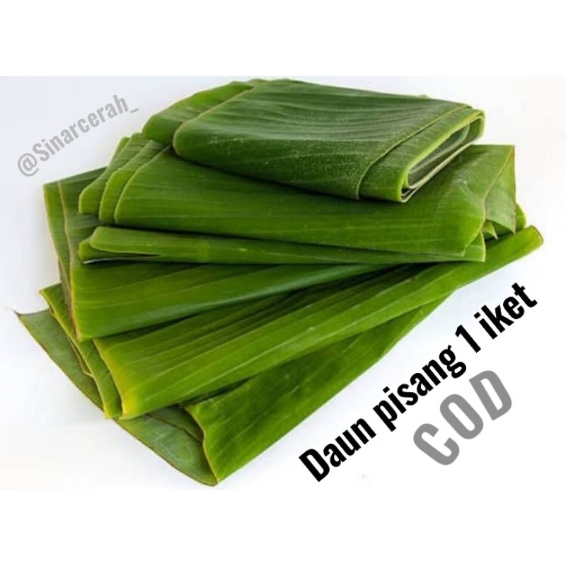 

Daun pisang per 1 iket/Daun pisang bungkus makanan(herbal) fresh segar