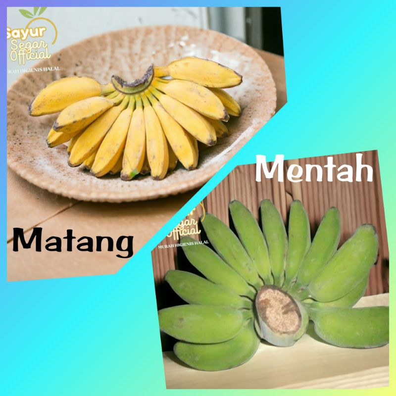 

Buah Pisang Kepok Mateng / Mentah per SISIR