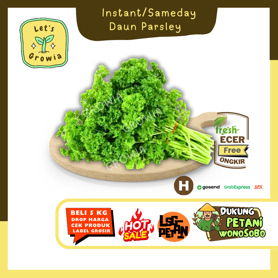 

Growia | Daun Parsley (H) - Hasil Petani Langsung Ecer (H)0