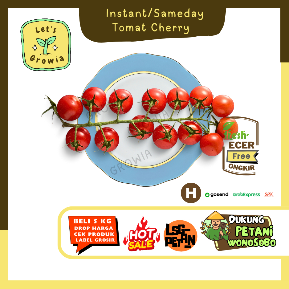 

Growia || Tomat Cherry -- Hasil Petani Langsung Ecer Sayur Gunung (H)