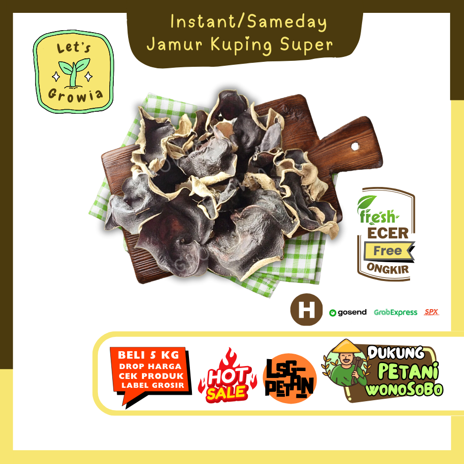 

Growia || Jamur Kuping Super -- Hasil Petani Langsung Ecer (H)