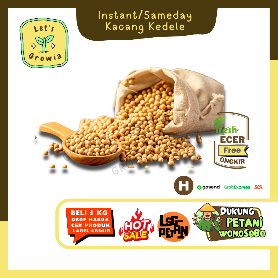 

Growia || Kacang Kedelai -- Hasil Petani Langsung Ecer Sayur Gunung (H)