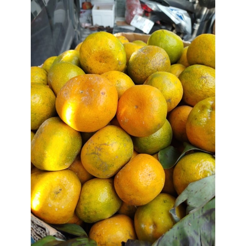 

Jeruk Madu ukuran besar