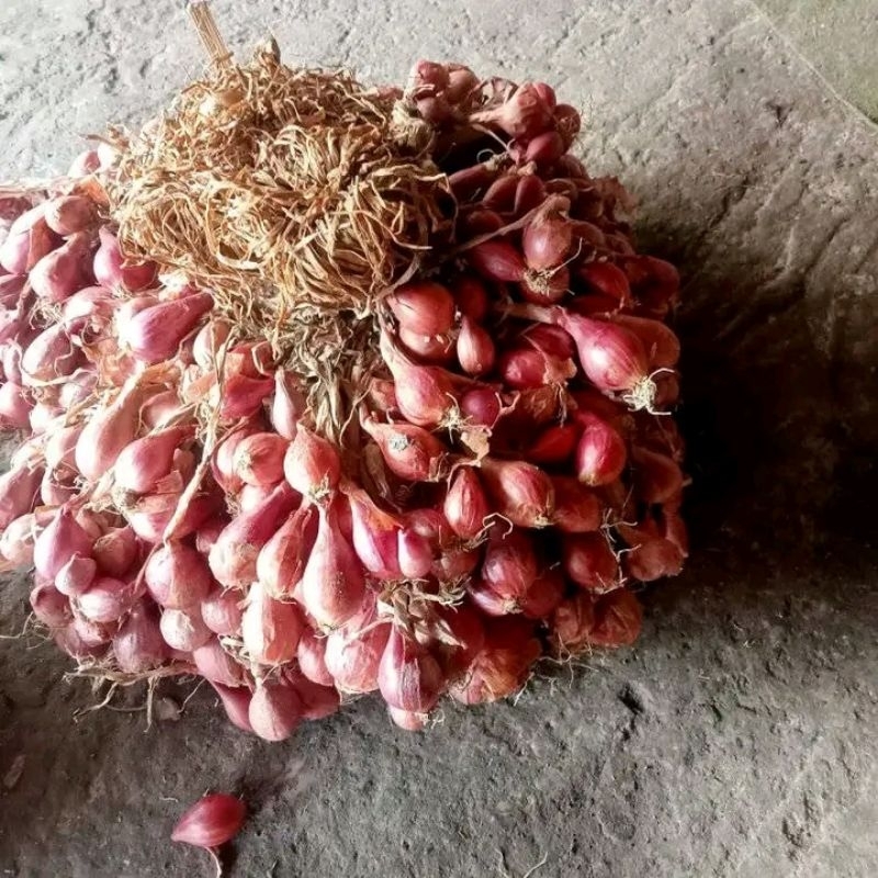 

bawang merahbesarkecilbedaharga1kg