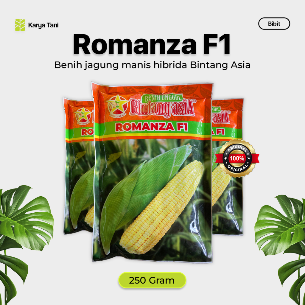 BENIH JAGUNG MANIS ROMANZA F1 250 GRAM JAGUNG MANIS HIBRIDA BINTANG ASIA