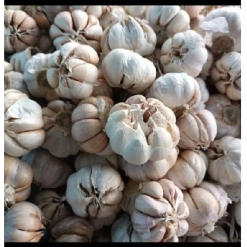 

bawang putih bersih 1 kg