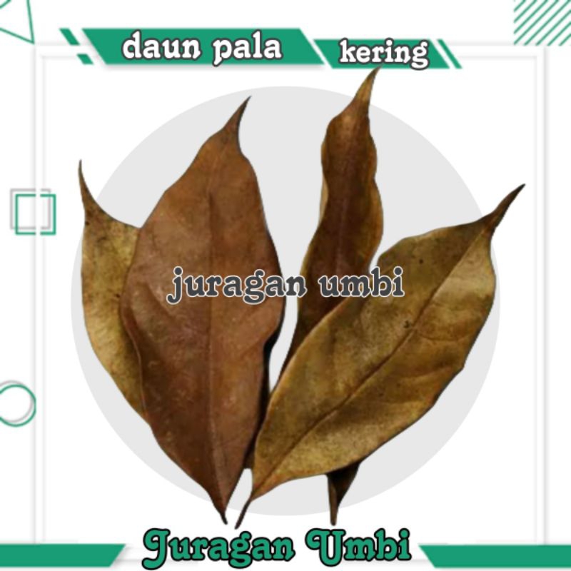 

daun pala kering 500 gram asli daun pilihan kualitas super