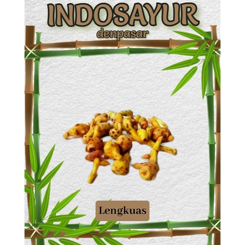 

Lengkuas/ Laos _ INDOSAYUR