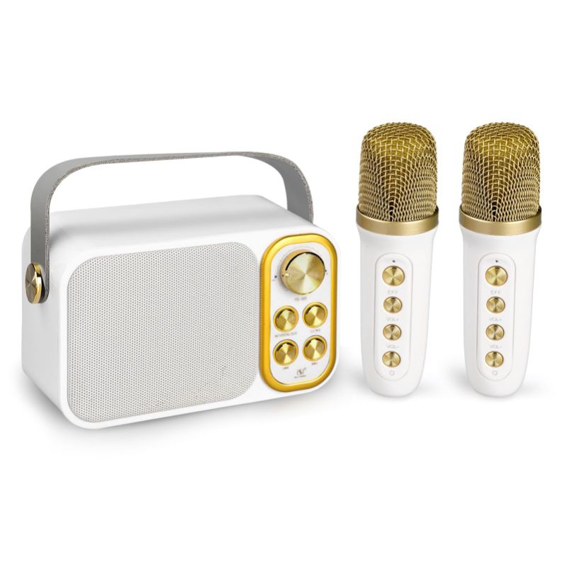 SU-YOSD Wireless Karaoke Speaker Singapore