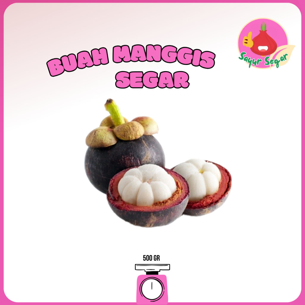 

Sayur Segar - Buah Manggis Segar 500 gr / Mangosteen