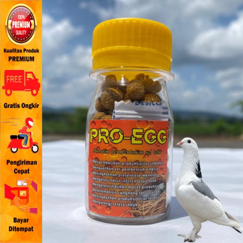 Jamu Merpati mengobati MACET TELUR supaya lancar bertelur solusi macet telur