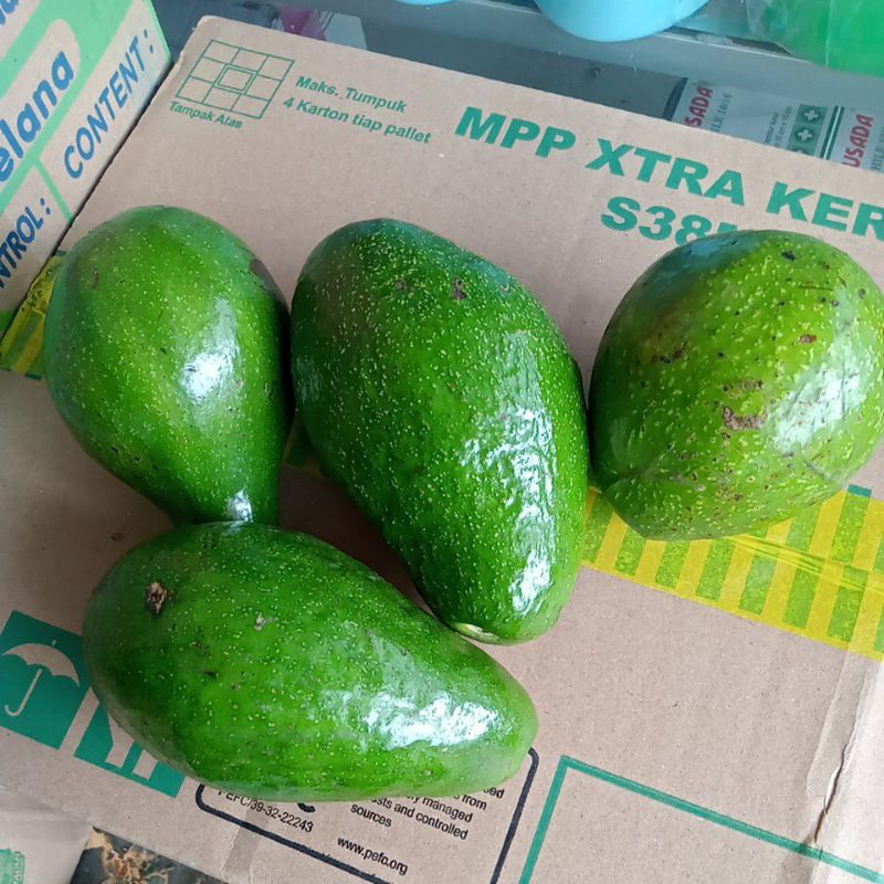 

alpukat mentega 1kg isi 3-4