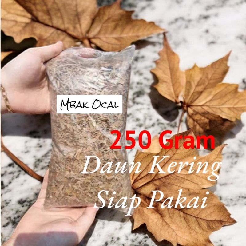 

Mbak Ocal Daun Kering Siap Pakai 250 Gram