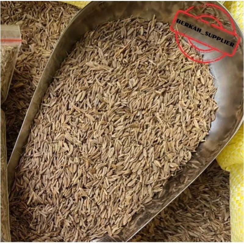 

Jintan Masak 500gr - Jintan Putih - Jinten Masak / Putih