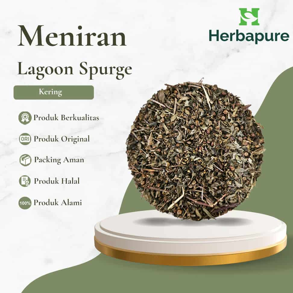 

Herbapure- Rempah Jamu Herbal Daun Meniran