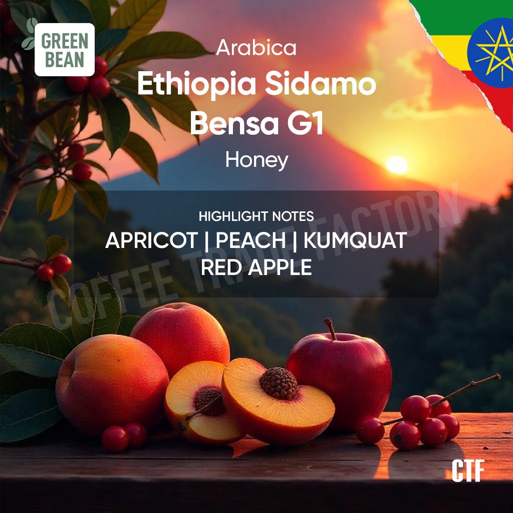 

Green Beans Arabika Ethiophia Sidamo Bensa Honey Process / Coffee Trade Factory CTF / Green Bean Arabica ethiopia etiopia Biji kopi mentah premium berkualitas proses honey greenbean specialty coffee