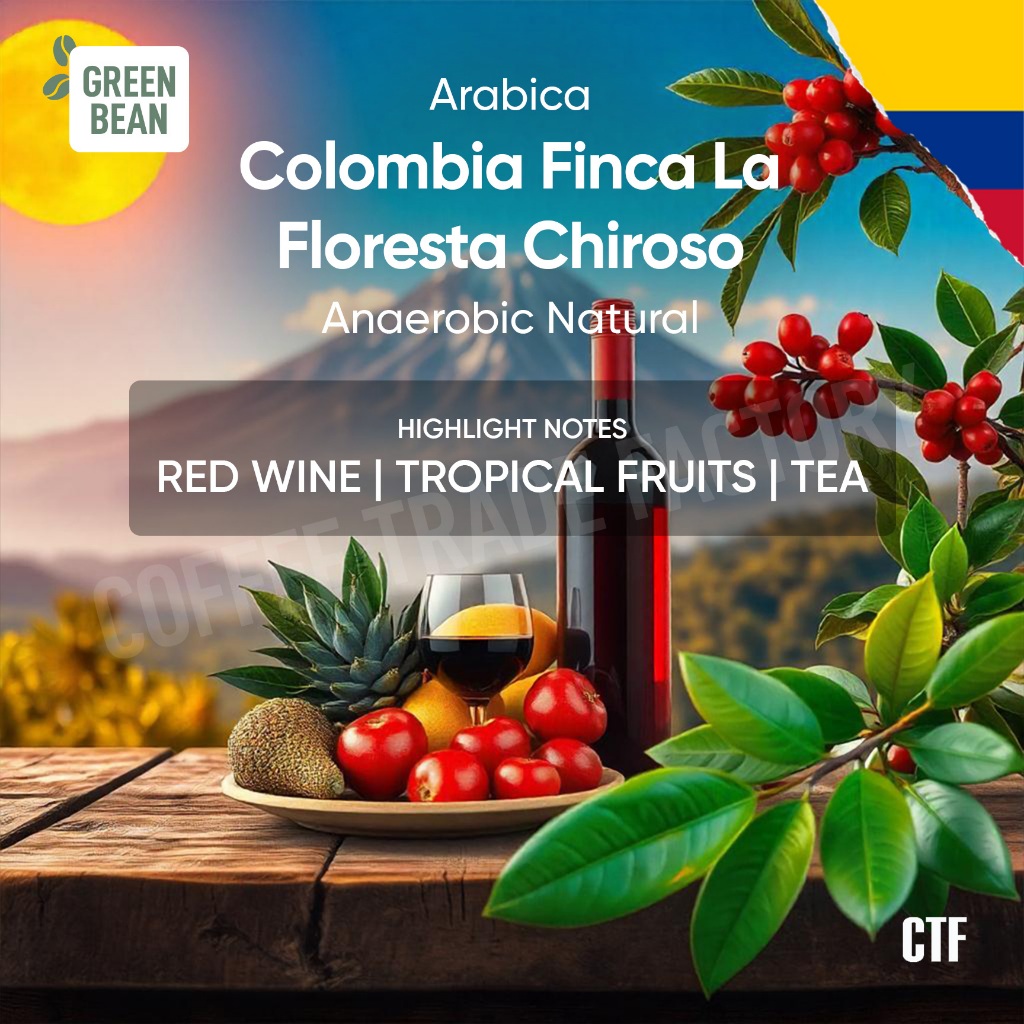 Green Beans Arabika Colombia Finca La Floresta Chiroso Anaerobic Natural / Coffee Trade Factory CTF 
