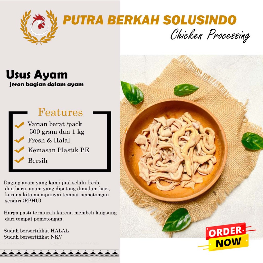 

Usus Ayam Fresh Murah