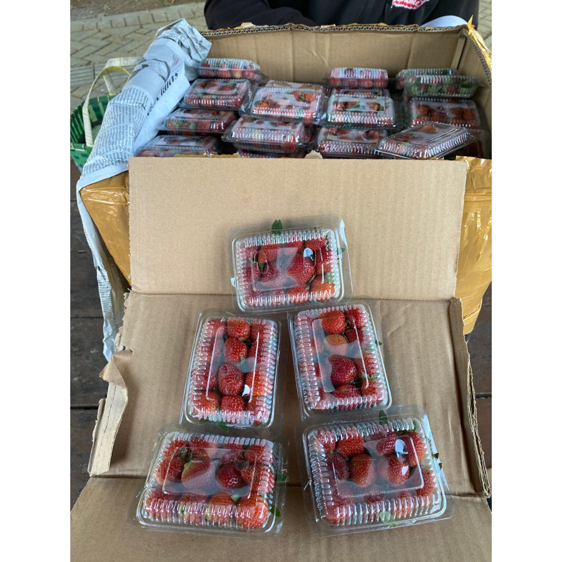 

strawberry fresh 2.500