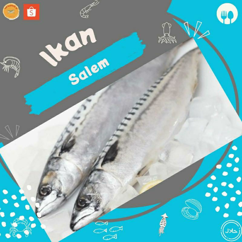 

Salem mackerel 1kg isi 10-12 ekor || Kualitas segar || vanseafood_20