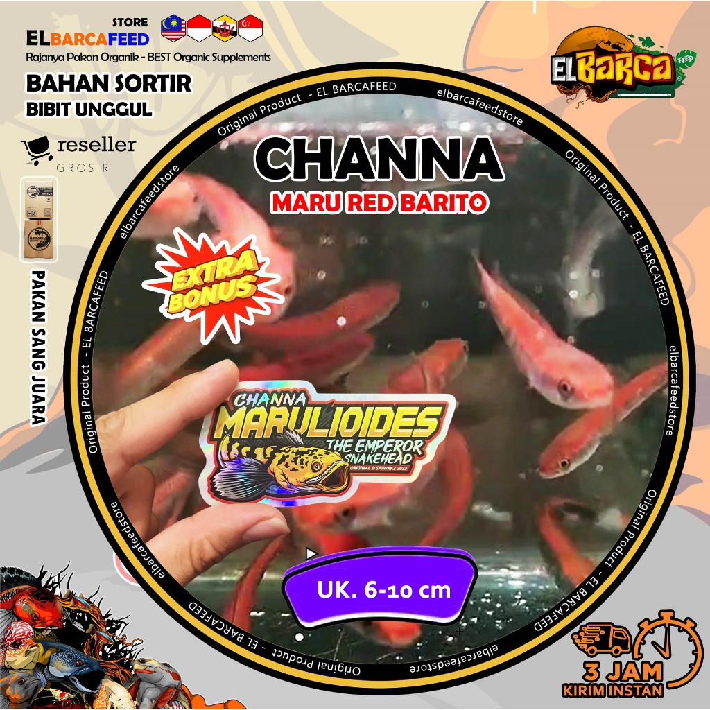 STICKER CHANNA HIDUP MARU RED BARITO WC mata merah bar marking tebal hasil sortiran FREE STICKER