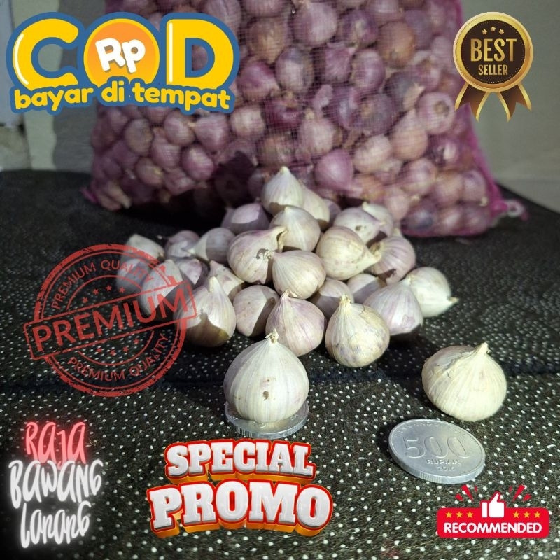 

BAWANG TUNGGAL PREMIUM JUMBO