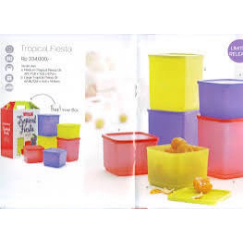 Tupperware Tropical Fiesta (NO BOX)