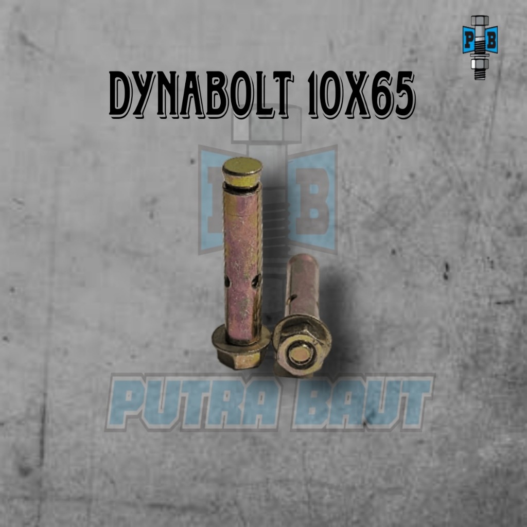 dynabolt 10x65